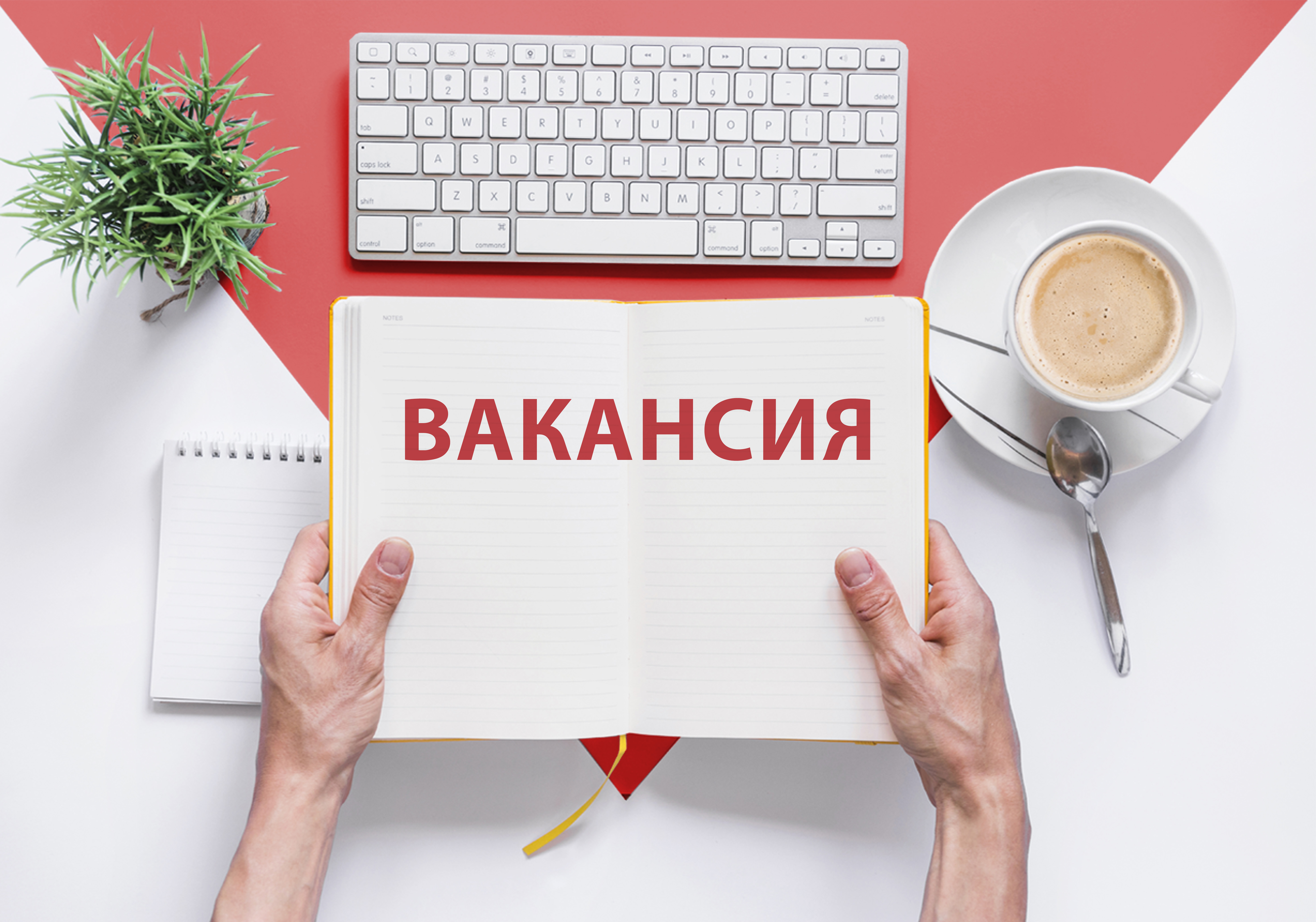 Работа в Черкассах. Вакансии компании Колор. Работа менеджер по продажам,  комплектовщик, грузчик, офис-менелдер. Ищу работу.